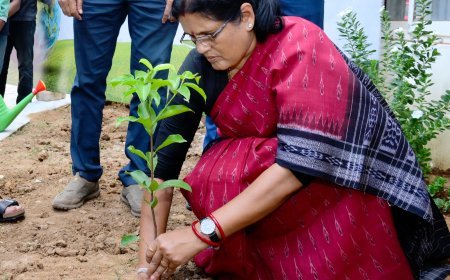 DEPUTY CM PLANTED SAPLING AT PARYATAN BHAWAN & OTDC UNDER EK PED MAA KE NAAM CAMPAIGN