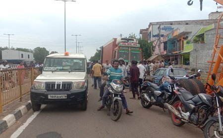 ଟ୍ରକ୍ ରୁ ଗୋମାଂସ ଜବତ