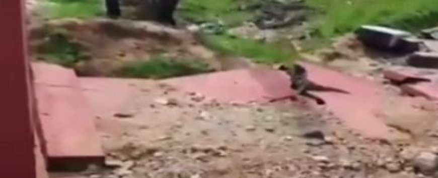 ଭାଙ୍ଗିଲା ମାଲକାନଗିରି ବିମାନବନ୍ଦର ପାଚେରୀ