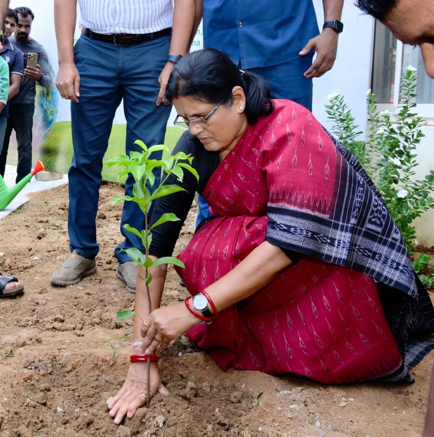 DEPUTY CM PLANTED SAPLING AT PARYATAN BHAWAN & OTDC UNDER EK PED MAA KE NAAM CAMPAIGN