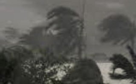 Cyclonic circulation over Bay of Bengal by July 31