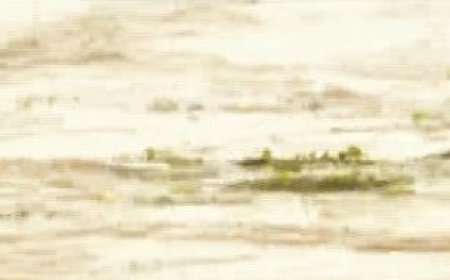 Water level in Mundali continues to rise