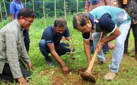 Wipro Cares, Gram Vikas join forces for plantation drive in Chandaka