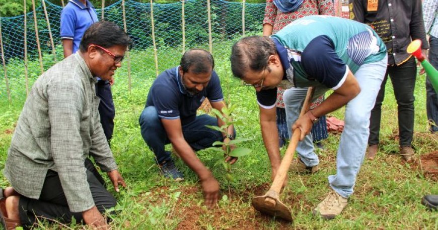 Wipro Cares, Gram Vikas join forces for plantation drive in Chandaka