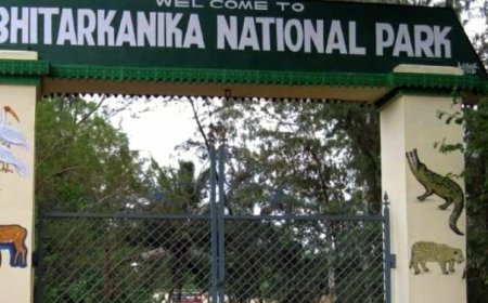 Bhitarkanika National Park reopens