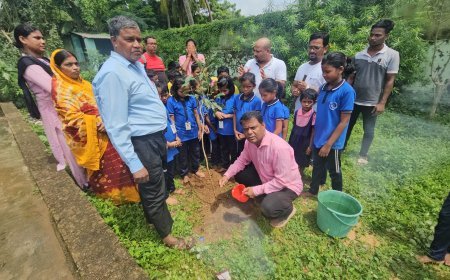 Plantation drive in memory of Birasen Jena