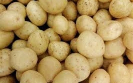 Potato crisis: Raid conducted at Bhubaneswar Unit-1 Market