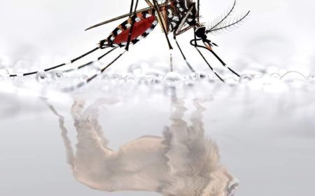 Dengue cases on rise in Odisha