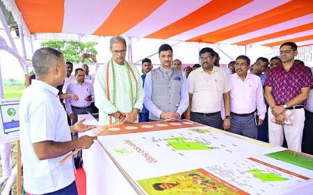 Odisha government launches e-Chasa app & portal to revolutionize digital crop survey