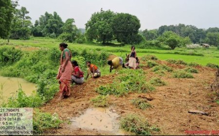Bhainsamunda village revitalizes community pond, paving the way for sustainable fisheries and development