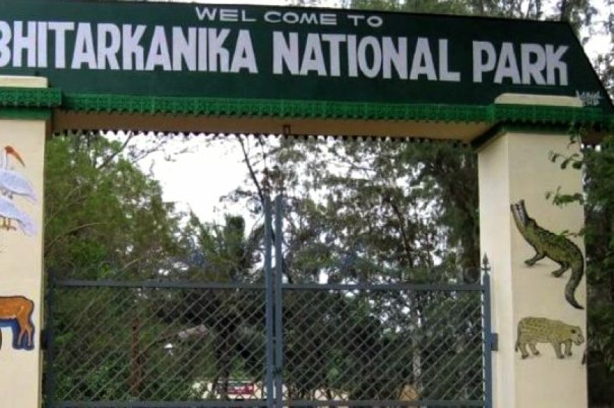 Bhitarkanika National Park reopens