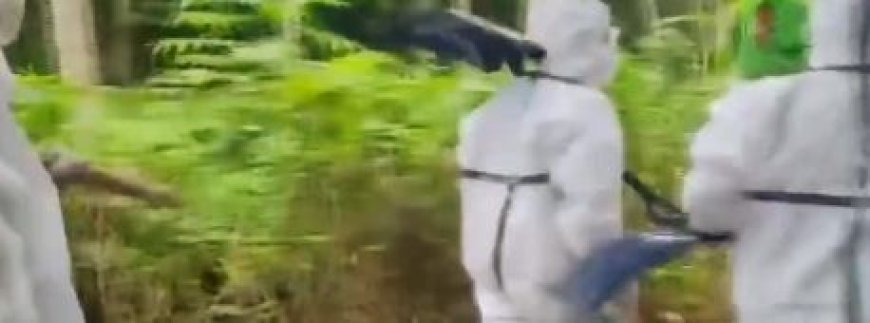 ପିପିଲିରେ ବ୍ୟାପୁଛି ବାର୍ଡ ଫ୍ଲୁ