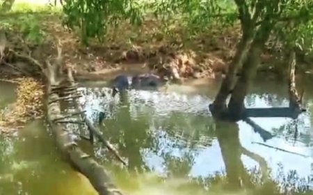 Body of student recovered from canal