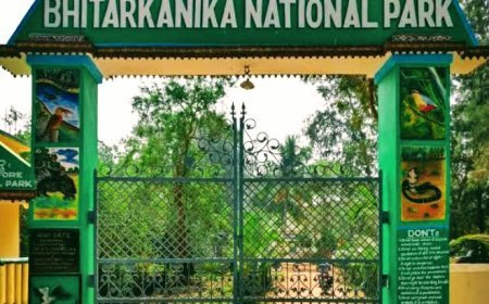 Bird census at Bhitarkanika National Park from September 9