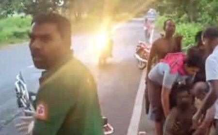 Nine labourers critical after pickup van hits roadside tree