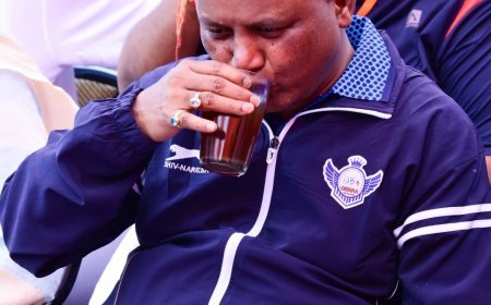 Five crore trees to be planted in Odisha: CM