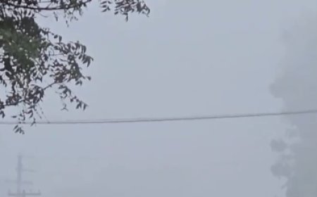 Dense fog engulfs Bonai of Sundargarh ahead of winter arrival