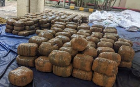 Truck transporting ganja worth Rs 1.62 crore from Odisha seized in Andhra Pradesh