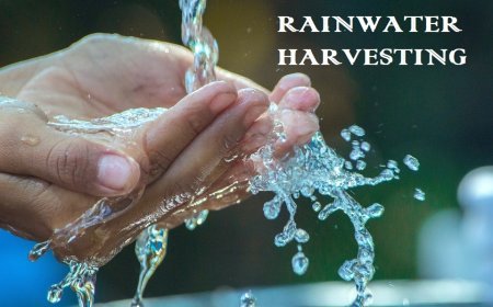 AAEA urges govt for promoting rain water harvesting