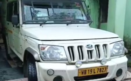 20 kg gold seized from logistics vehicle