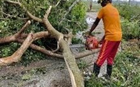 ୫୫୮ ଟି ସ୍ଥାନରେ ୧୩୫୦ ରୁ ଉର୍ଦ୍ଧ୍ଵ ଗଛ କାଟି ରାସ୍ତା ସଫା କରି ଗମନାଗମନ ଯୋଗ୍ୟ କଲେ ଓଡ଼ିଶା ଅଗ୍ନିଶମ ଓ ଜରୁରୀକାଳୀନ ବିଭାଗ