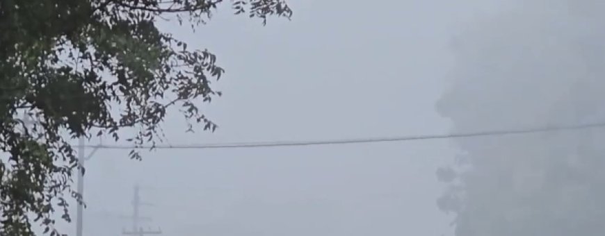 Dense fog engulfs Bonai of Sundargarh ahead of winter arrival