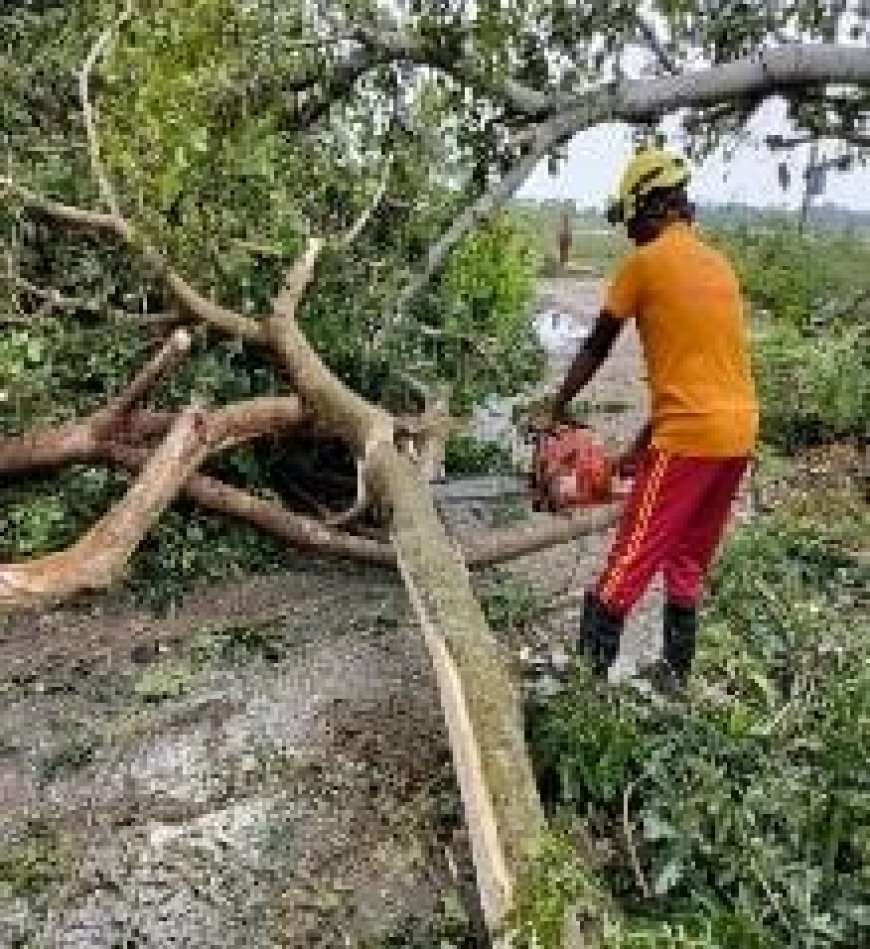 ୫୫୮ ଟି ସ୍ଥାନରେ ୧୩୫୦ ରୁ ଉର୍ଦ୍ଧ୍ଵ ଗଛ କାଟି ରାସ୍ତା ସଫା କରି ଗମନାଗମନ ଯୋଗ୍ୟ କଲେ ଓଡ଼ିଶା ଅଗ୍ନିଶମ ଓ ଜରୁରୀକାଳୀନ ବିଭାଗ