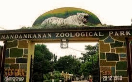 Nandankanan Zoo to receive 15 new species