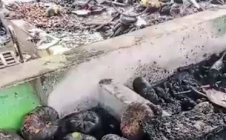 ଡେଲାଙ୍ଗ ପରିବା ହାଟରେ ଅଗ୍ନିକାଣ୍ଡ