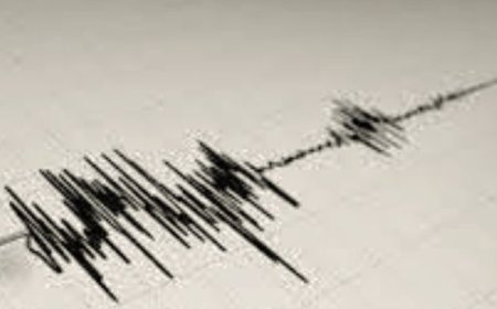 Mild earthquake felt in Bhubaneswar