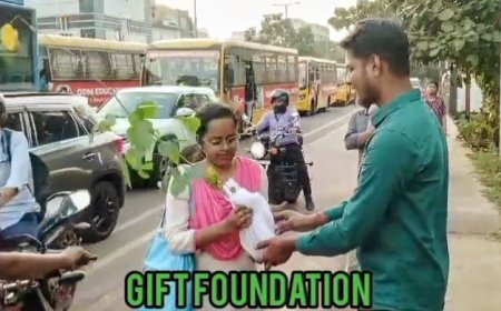 ଗିଫ୍ଟ ଫାଉଣ୍ଡେସ ପକ୍ଷରୁ ଚାରା ବଣ୍ଟନ