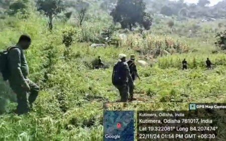 Odisha Police destroys 28 lakh ganja plants in November