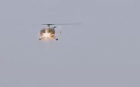 Alert helicopter pilot averts possible bird hit during preparation for Navy Day celebrations
