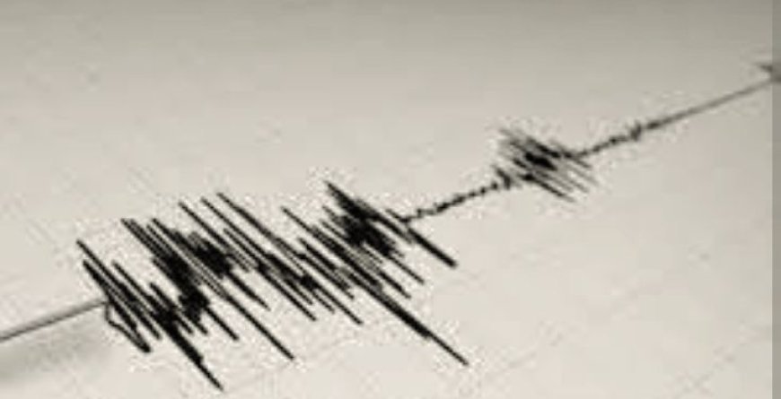 Mild earthquake felt in Bhubaneswar