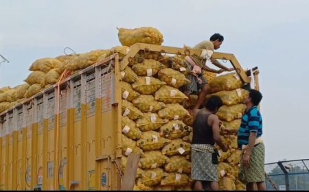 Six more truckloads of potatoes arrive in Cuttack's Chhatra Bazaar