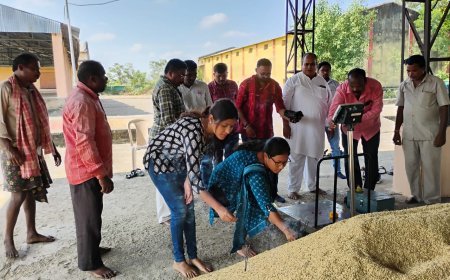 Govt accelerates the pace of Paddy procurement
