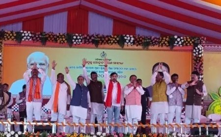 Odisha farmers receive Rs 800 additional input assistance