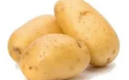THE POTATO STORY