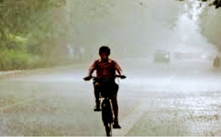 Strong wind & rain affects normal life in Sundargarh