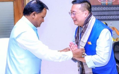 Singapore High Commissioner Simon Wong meets CM Mohan Majhi