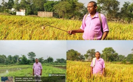 Rooting for Change: Empowering Farmers with Green Solutions