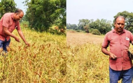 Transforming Agriculture: Reliance Foundation’s Push for Millet & Resilient Farming