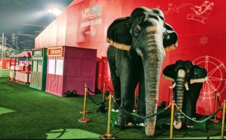 Vantara presents captivating carnival adventure that inspires love & compassion for wildlife