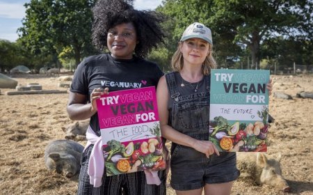 From resolution to reality - How Veganuary has become a popular movement in India