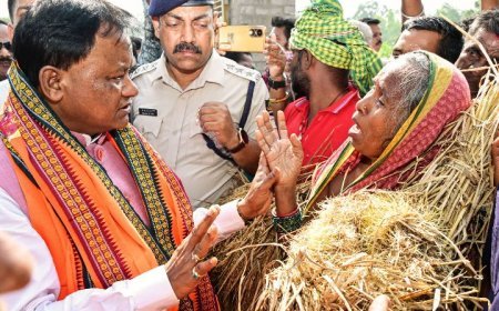 Odisha CM conducts survey of rain-ravaged farmlands in Nayagarh