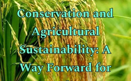 Water Conservation and Agricultural Sustainability: A Way Forward for India