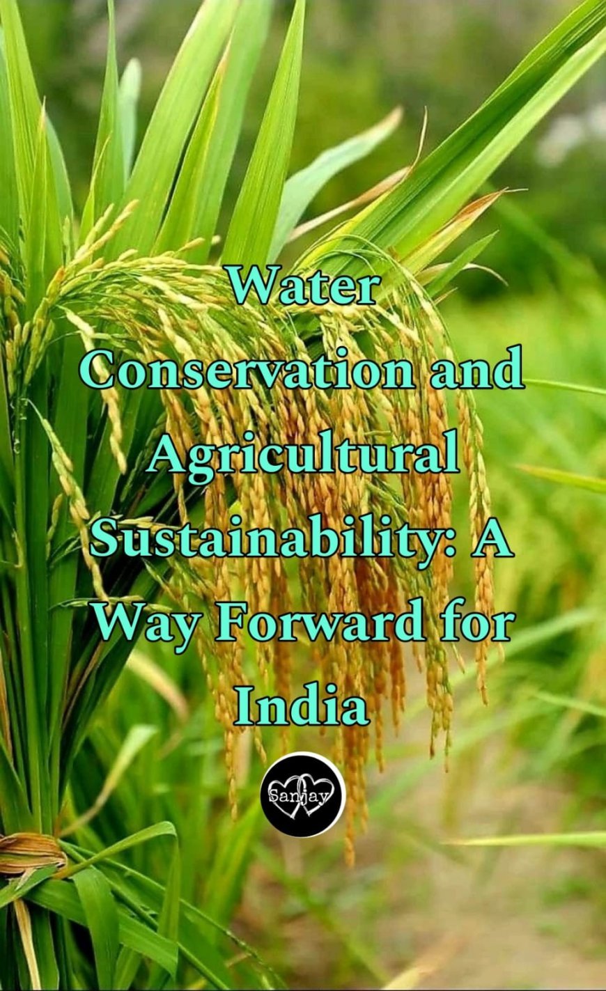 Water Conservation and Agricultural Sustainability: A Way Forward for India