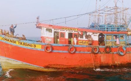 ଗହିରମଥା ସାମୁଦ୍ରିକ ଅଭୟାରଣ୍ୟରେ ଫୁଟିଲା ଗୁଳି