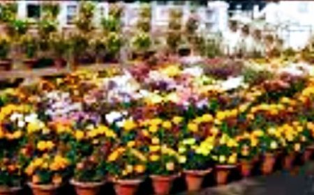 Odisha Raj Bhavan Garden to open for the general public from January 13