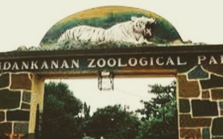 Nandankanan Zoo loses white tiger cub
